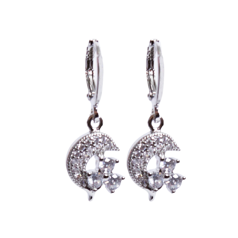 Imagen del producto: Aretes delfín plateado